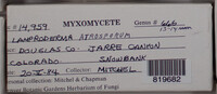 Image Associated With the Occurence
